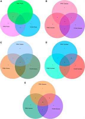 Microbiome analysis reveals potential for modulation of gut microbiota through polysaccharide-based prebiotic feeding in Oreochromis niloticus (Linnaeus, 1758)